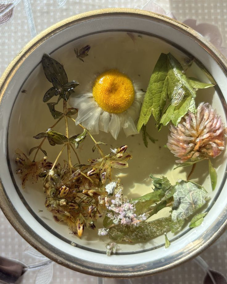 Herbal Immersion  |  October 1 day Retreat