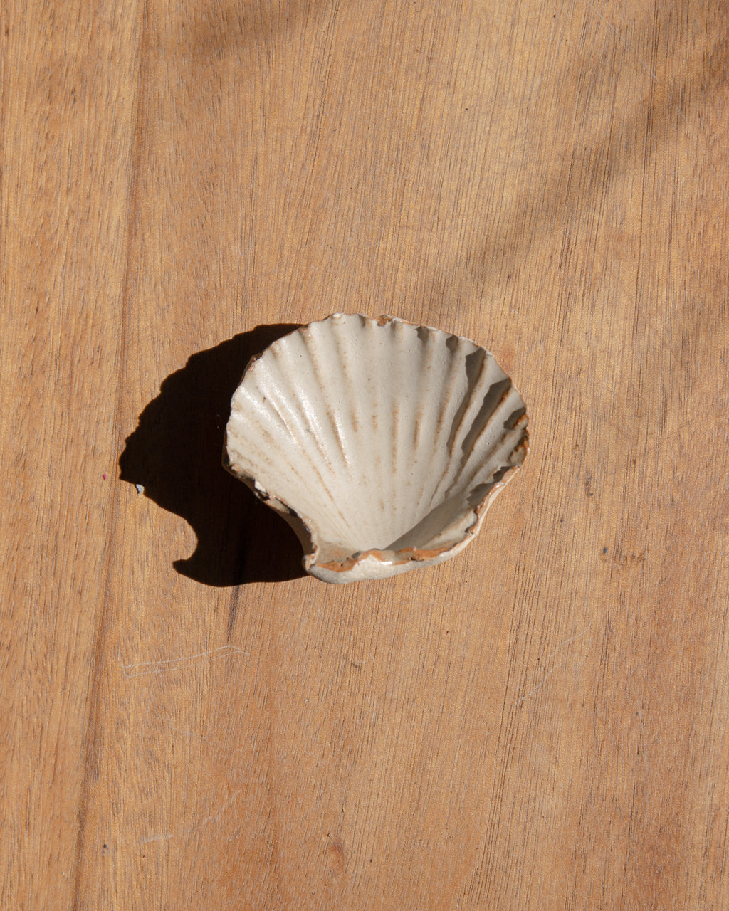 Ceramic Shell Small by Splendid Wren