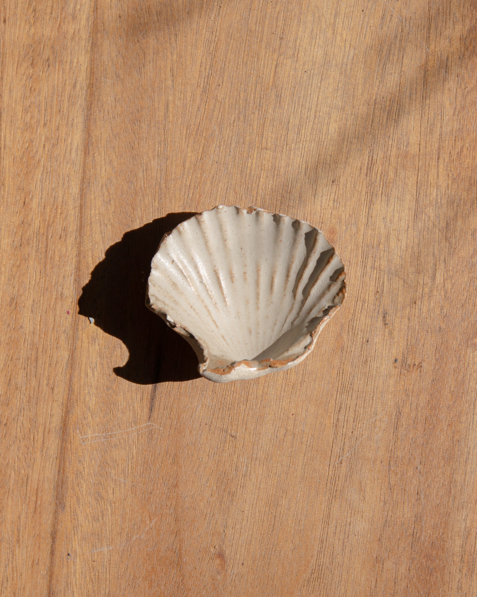 Ceramic Shell Small by Splendid Wren
