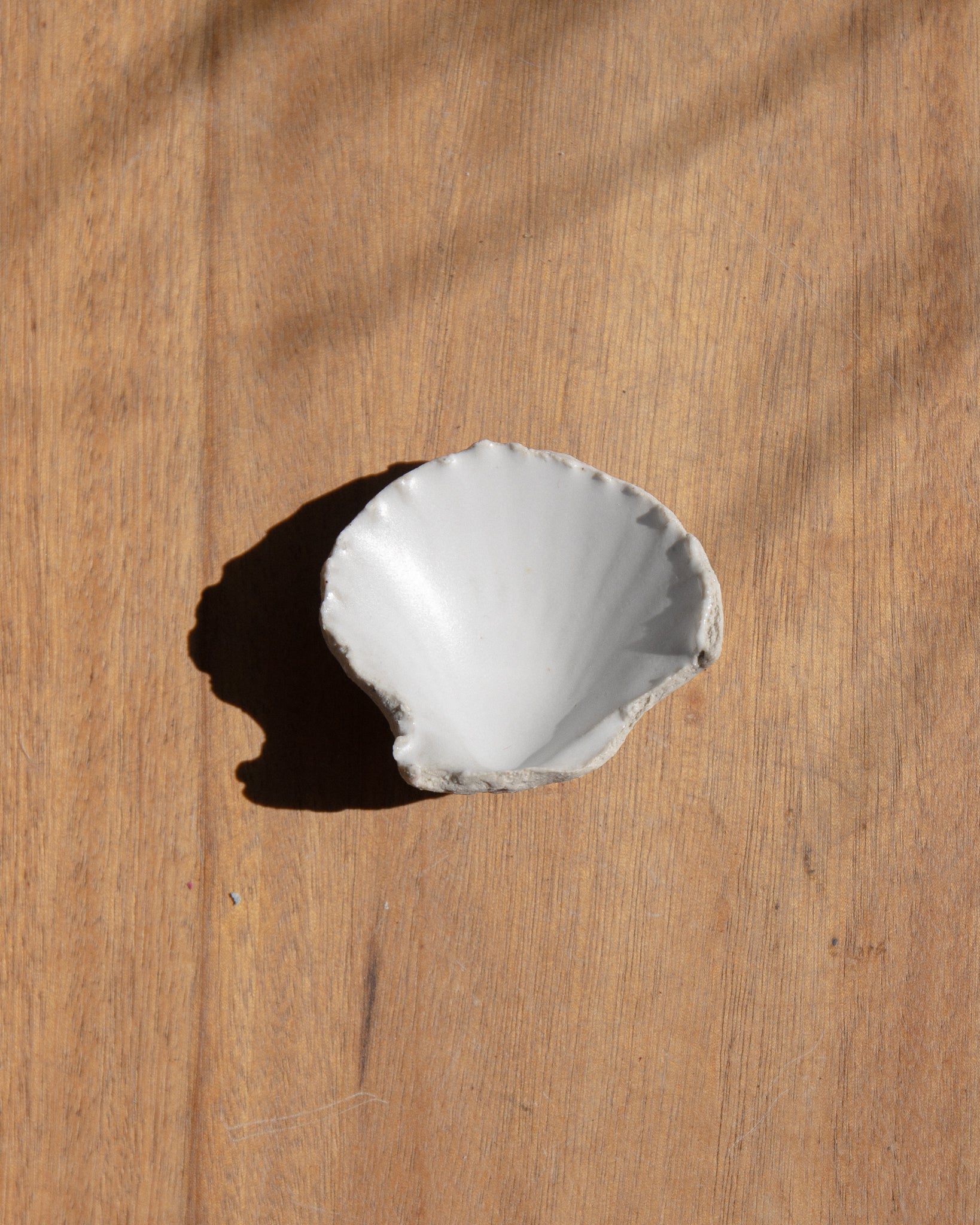 Ceramic Shell Small by Splendid Wren