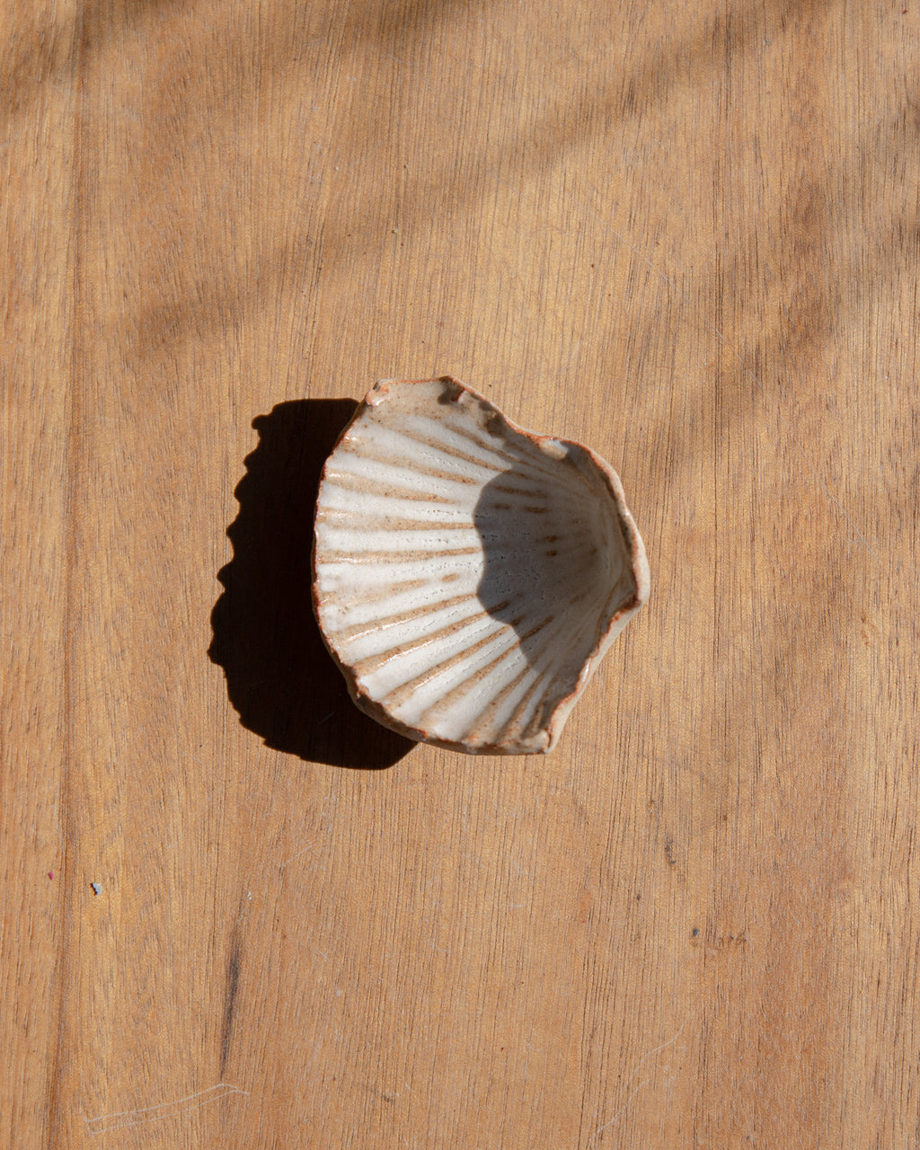 Ceramic Shell Small by Splendid Wren