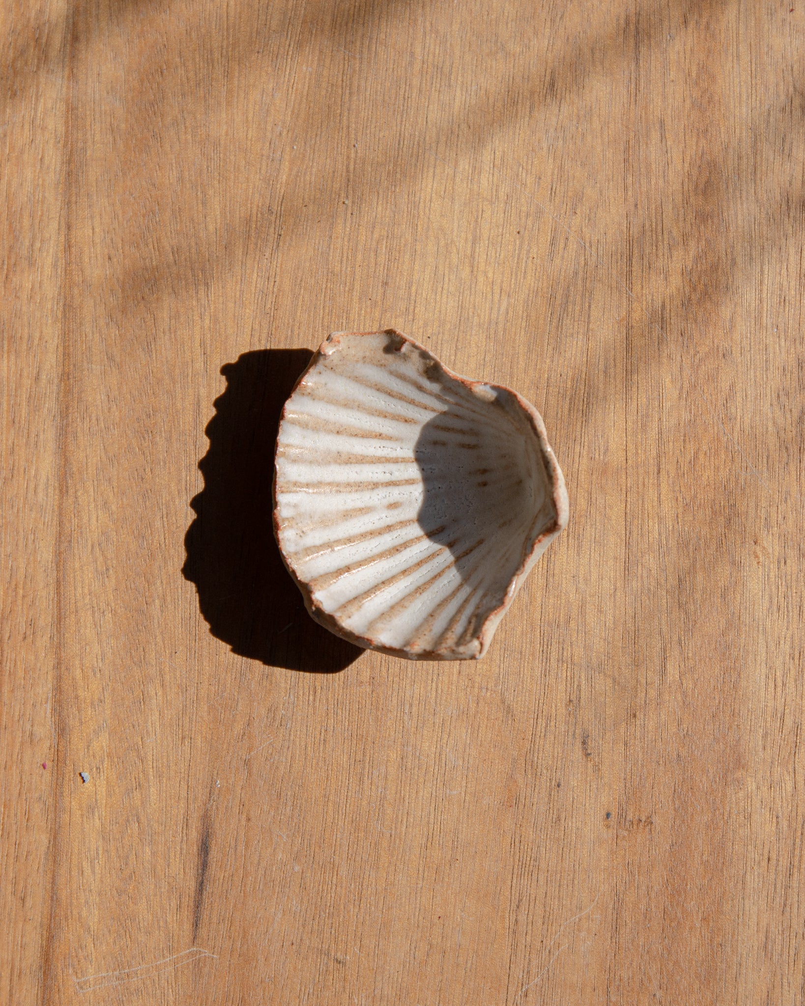 Ceramic Shell Small by Splendid Wren