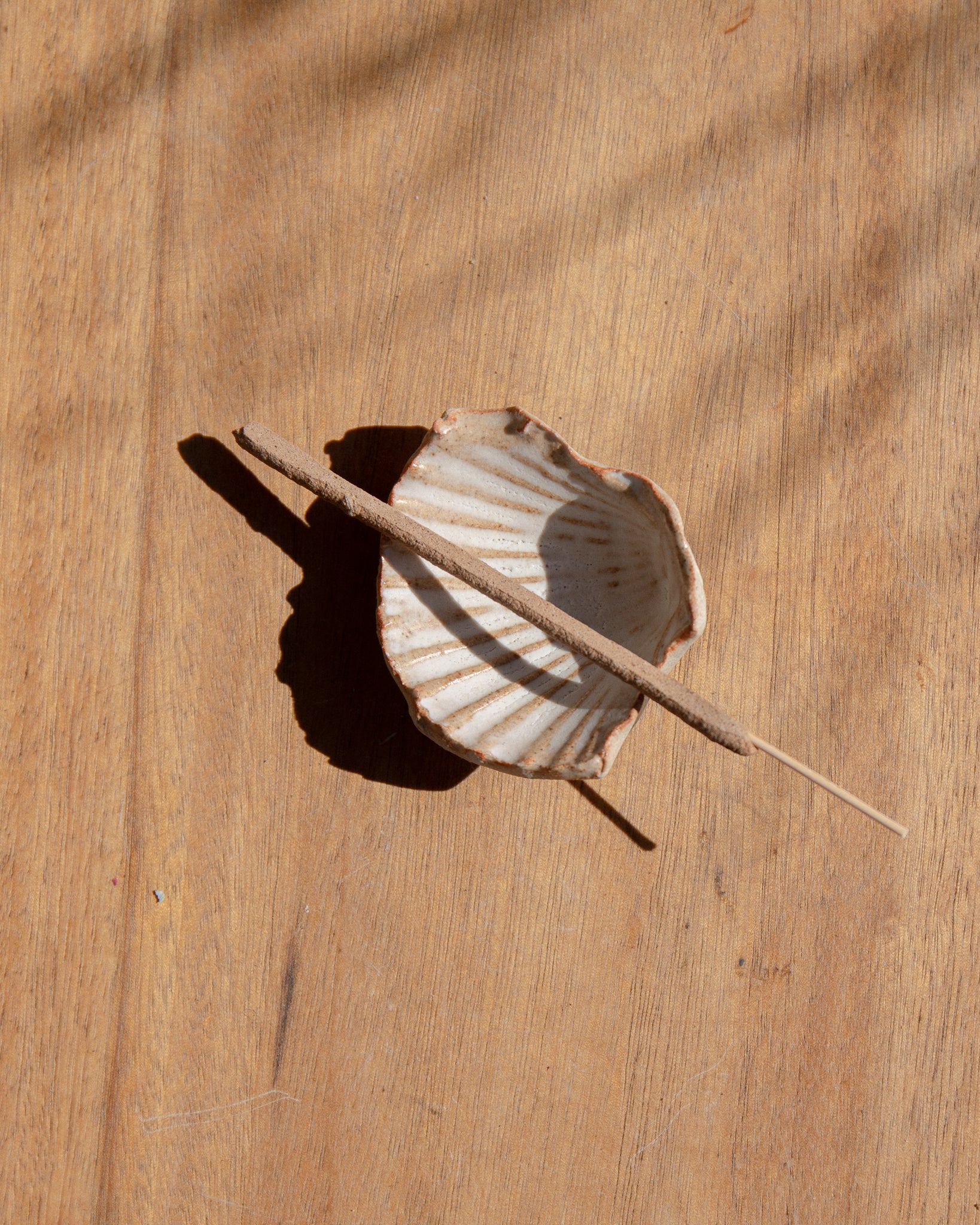 Ceramic Shell Small by Splendid Wren